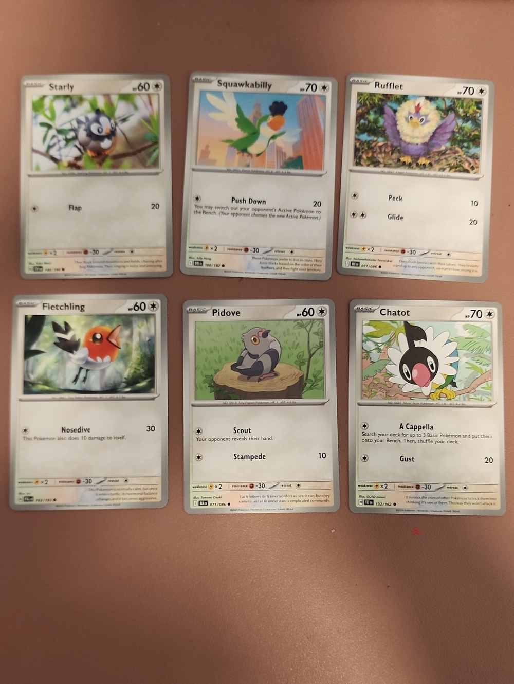 Assorted Bird-Type Cards